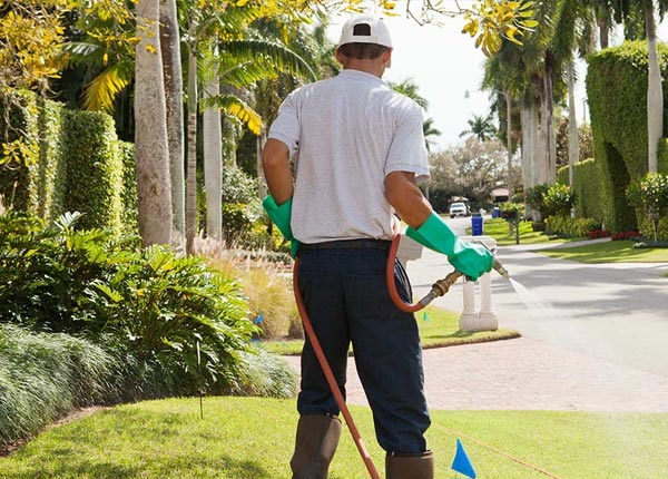 About Blairsburg IA Pest Control